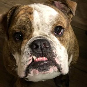 Meet your Posher, Madeline